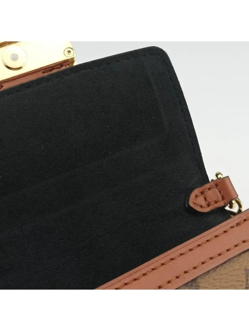 Louis Vuitton brand louis